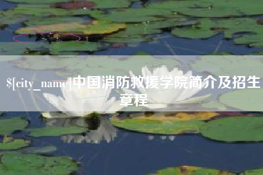 湘阴中国消防救援学院简介及招生章程