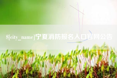 湘阴宁夏消防报名入口官网公告