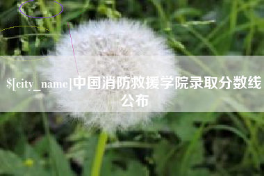 湘阴中国消防救援学院录取分数线公布