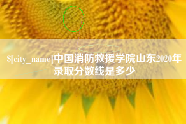 湘阴中国消防救援学院山东2020年录取分数线是多少