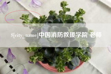 湘阴中国消防救援学院 老师