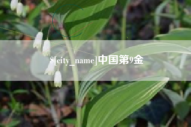 湘阴中国第9金