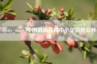 湘阴中国消防官网中小学消防公开课