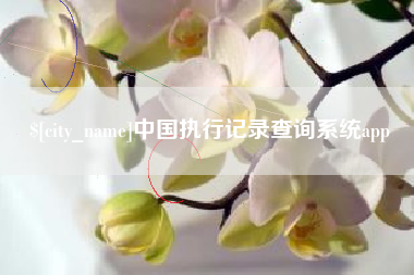 湘阴中国执行记录查询系统app