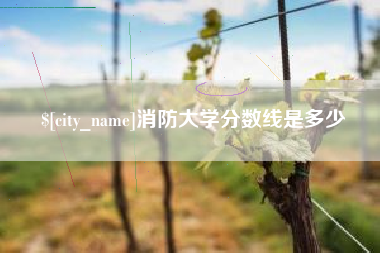 湘阴消防大学分数线是多少