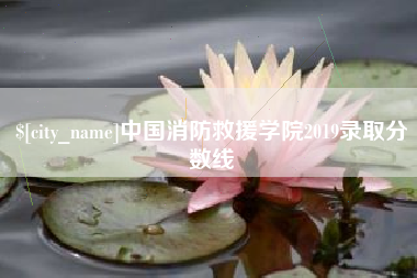 湘阴中国消防救援学院2019录取分数线