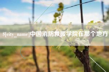 湘阴中国消防救援学院在那个地方