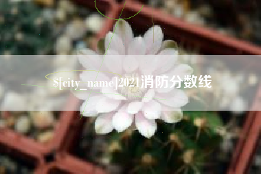 湘阴2021消防分数线
