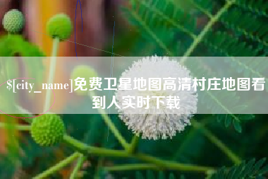 湘阴免费卫星地图高清村庄地图看到人实时下载