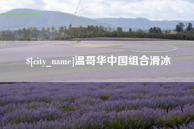 湘阴温哥华中国组合滑冰