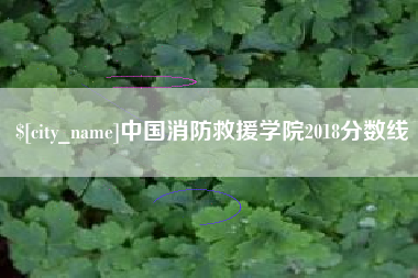 湘阴中国消防救援学院2018分数线