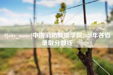湘阴中国消防救援学院2020年各省录取分数线