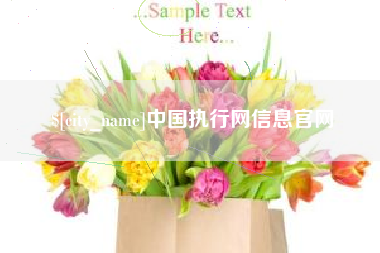 湘阴中国执行网信息官网