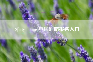 湘阴中国消防报名入口