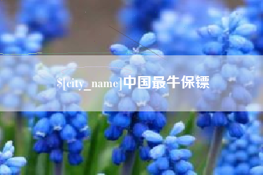 湘阴中国最牛保镖