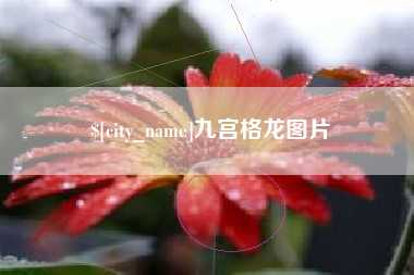 湘阴九宫格龙图片