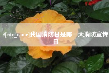 湘阴我国消防日是哪一天消防宣传日