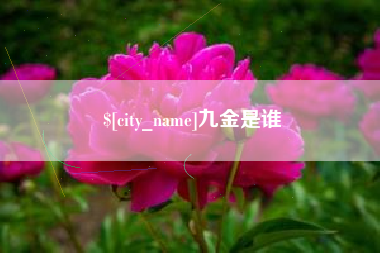湘阴九金是谁