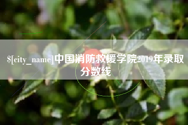 湘阴中国消防救援学院2019年录取分数线