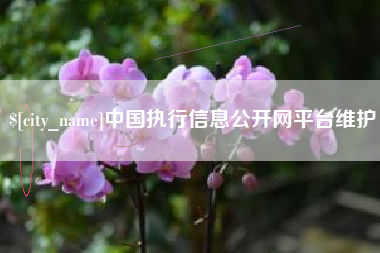 湘阴中国执行信息公开网平台维护