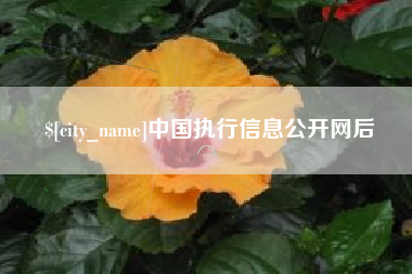 湘阴中国执行信息公开网后