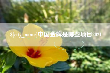 湘阴中国金牌是哪些项目2021
