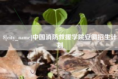 湘阴中国消防救援学院安徽招生计划