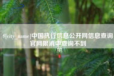 湘阴中国执行信息公开网信息查询官网限消中查询不到