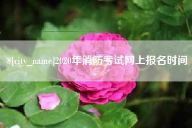 湘阴2020年消防考试网上报名时间