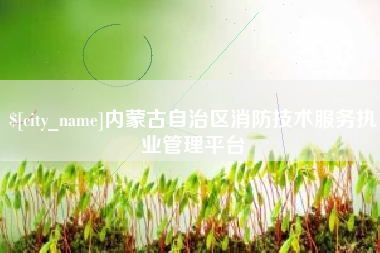 湘阴内蒙古自治区消防技术服务执业管理平台