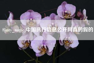 湘阴中国执行信息公开网真的假的