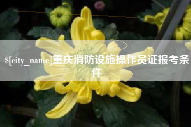 湘阴重庆消防设施操作员证报考条件