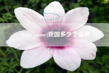 湘阴我国多少个金牌