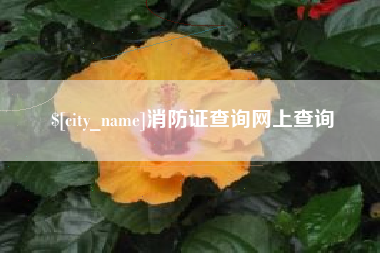 湘阴消防证查询网上查询