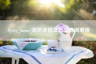 湘阴消防资格证怎么查询系统