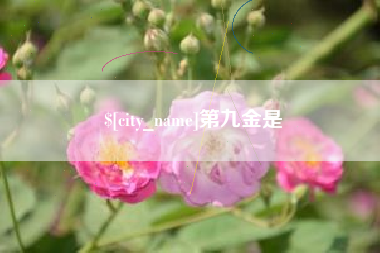 湘阴第九金是