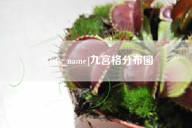 湘阴九宫格分布图