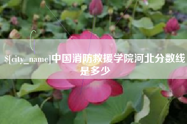 湘阴中国消防救援学院河北分数线是多少