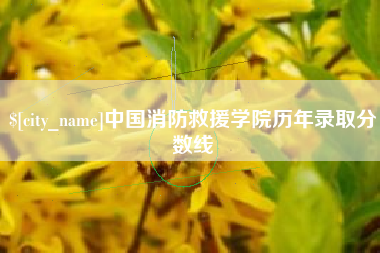 湘阴中国消防救援学院历年录取分数线