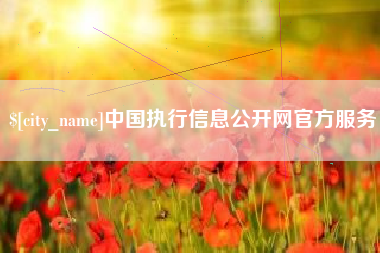 湘阴中国执行信息公开网官方服务