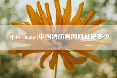 湘阴中国消防官网网址是多少