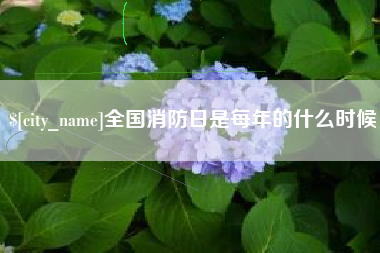 湘阴全国消防日是每年的什么时候
