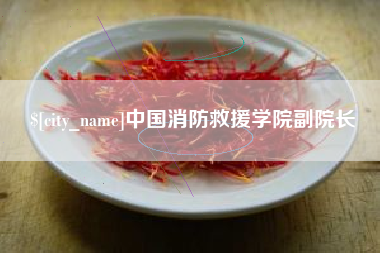 湘阴中国消防救援学院副院长