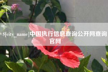 湘阴中国执行信息查询公开网查询官网