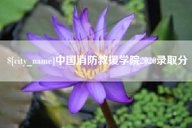 湘阴中国消防救援学院2020录取分