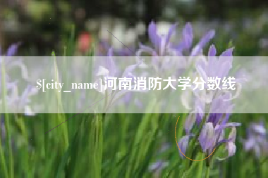 湘阴河南消防大学分数线