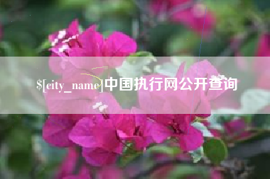 湘阴中国执行网公开查询