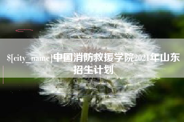 湘阴中国消防救援学院2021年山东招生计划