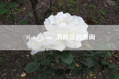 湘阴消防证的查询