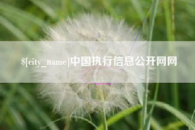 湘阴中国执行信息公开网网